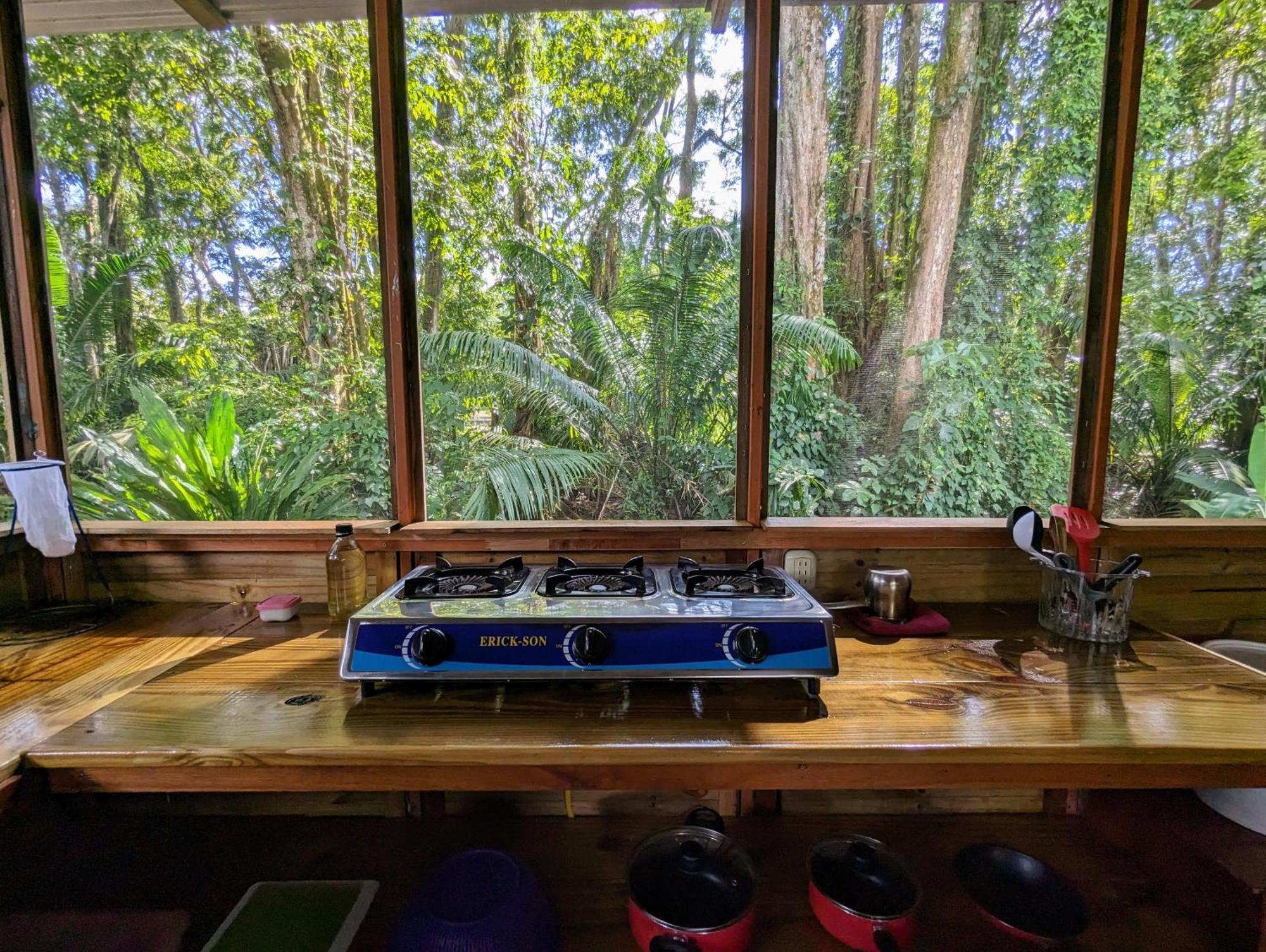 Arboura Eco Cabins ウビタ エクステリア 写真
