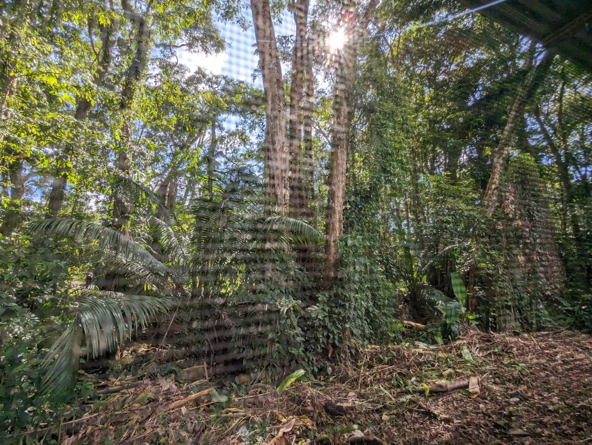 Arboura Eco Cabins ウビタ エクステリア 写真