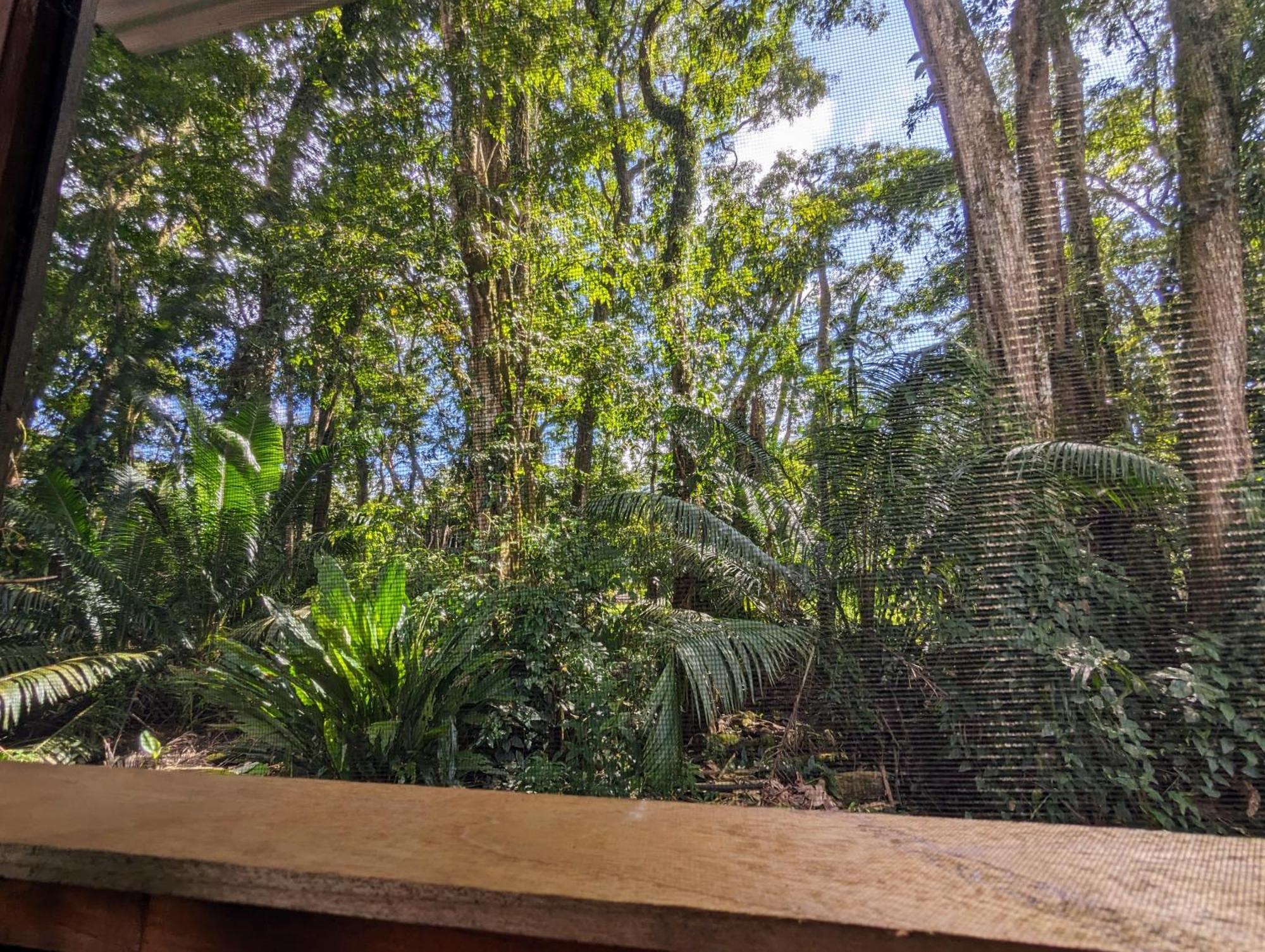 Arboura Eco Cabins ウビタ エクステリア 写真